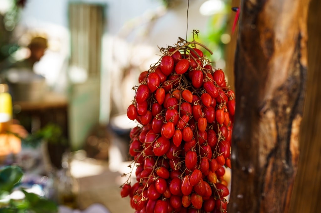 Maiori Festival - Enogastronomia